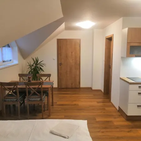 Apartment Horska U Rychlych *
