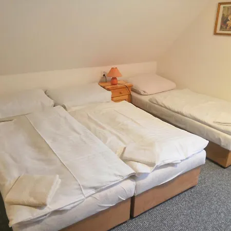 Apartment Horska U Rychlych